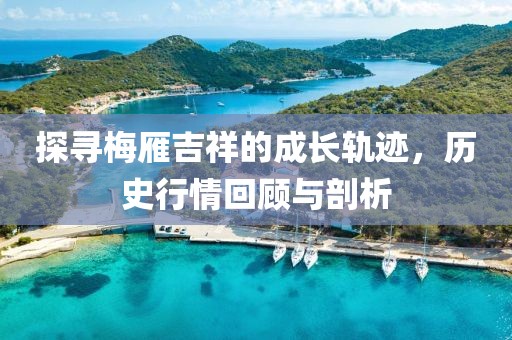 探尋梅雁吉祥的成長軌跡，歷史行情回顧與剖析