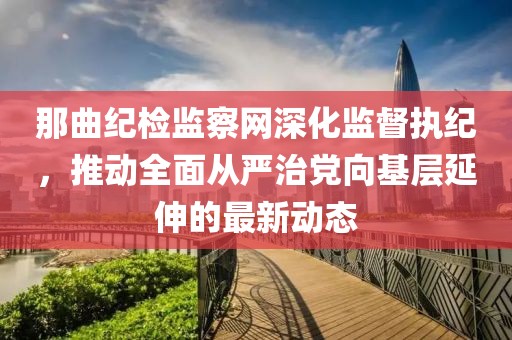 那曲紀(jì)檢監(jiān)察網(wǎng)深化監(jiān)督執(zhí)紀(jì)，推動全面從嚴(yán)治黨向基層延伸的最新動態(tài)