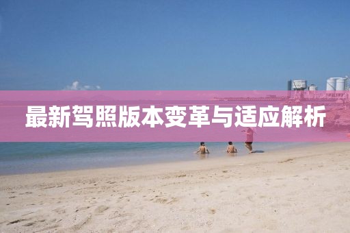 最新駕照版本變革與適應(yīng)解析