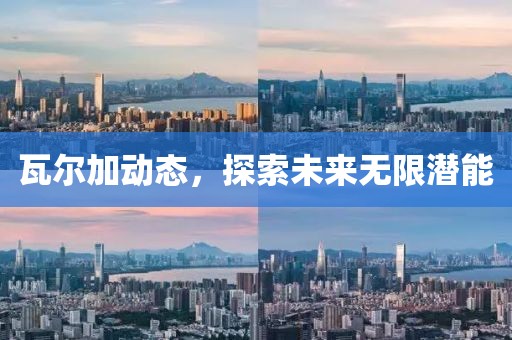 瓦爾加動(dòng)態(tài)，探索未來(lái)無(wú)限潛能