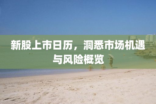 新股上市日歷，洞悉市場機遇與風險概覽
