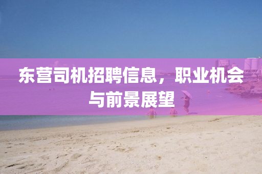 東營司機(jī)招聘信息，職業(yè)機(jī)會(huì)與前景展望