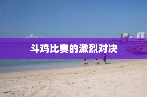 斗雞比賽的激烈對(duì)決