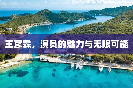 王彥霖，演員的魅力與無限可能