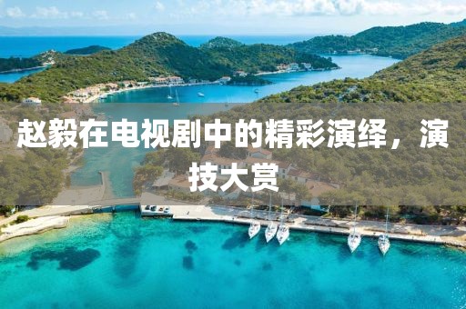 趙毅在電視劇中的精彩演繹，演技大賞