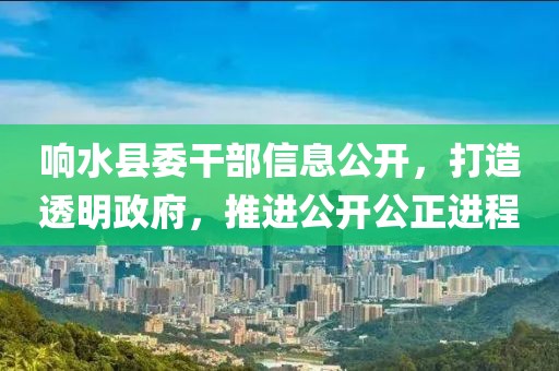 響水縣委干部信息公開，打造透明政府，推進(jìn)公開公正進(jìn)程