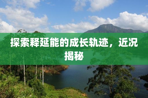 探索釋延能的成長軌跡，近況揭秘