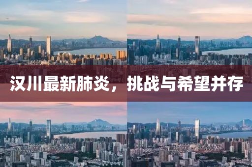 漢川最新肺炎，挑戰(zhàn)與希望并存