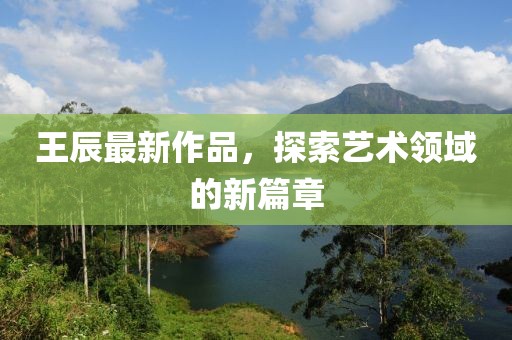 王辰最新作品，探索藝術領域的新篇章