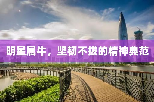 明星屬牛，堅(jiān)韌不拔的精神典范