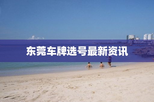 東莞車牌選號(hào)最新資訊