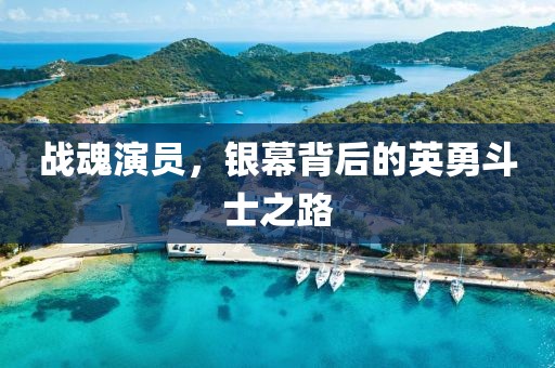 戰魂演員,銀幕背后的英勇斗士之路