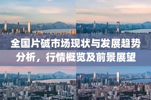 全國(guó)片堿市場(chǎng)現(xiàn)狀與發(fā)展趨勢(shì)分析，行情概覽及前景展望