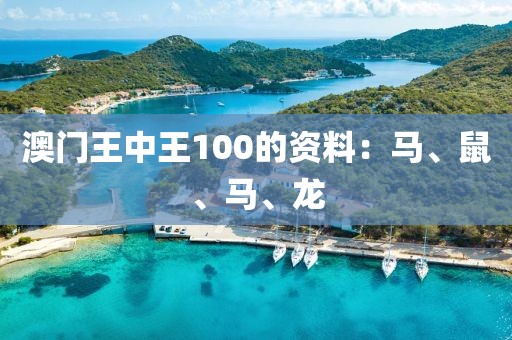 澳門王中王100的資料：馬、鼠、馬、龍