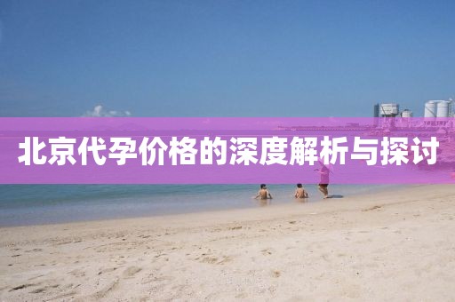 北京代孕價格的深度解析與探討