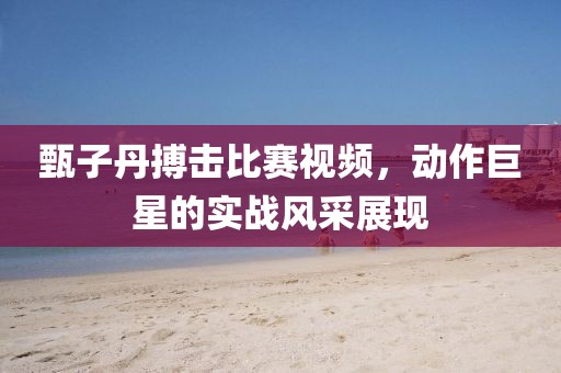 甄子丹搏擊比賽視頻，動(dòng)作巨星的實(shí)戰(zhàn)風(fēng)采展現(xiàn)