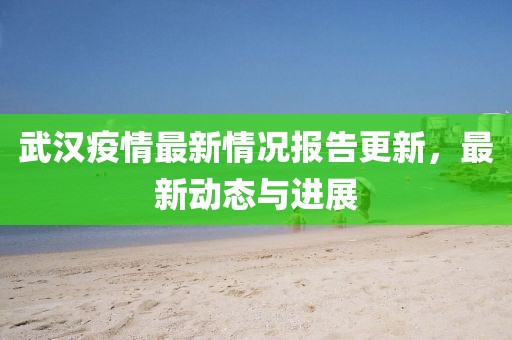 武漢疫情最新情況報(bào)告更新，最新動(dòng)態(tài)與進(jìn)展