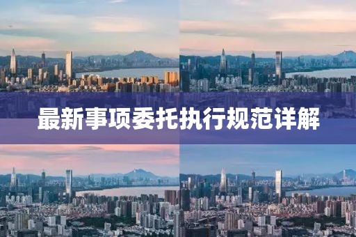 最新事項(xiàng)委托執(zhí)行規(guī)范詳解