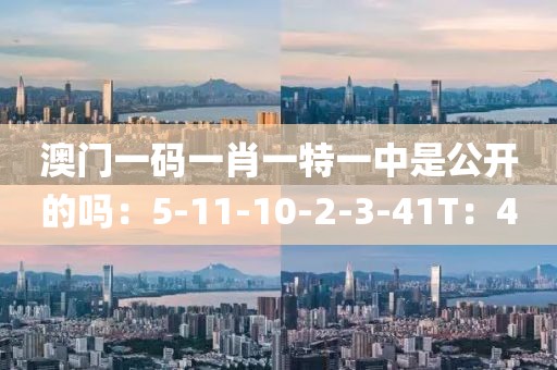 澳門一碼一肖一特一中是公開的嗎：5-11-10-2-3-41T：4