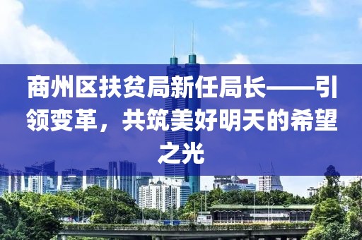 商州區(qū)扶貧局新任局長——引領(lǐng)變革，共筑美好明天的希望之光