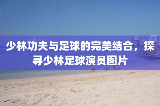 少林功夫與足球的完美結(jié)合，探尋少林足球演員圖片