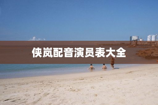 俠嵐配音演員表大全