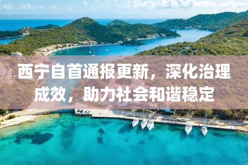 西寧自首通報更新，深化治理成效，助力社會和諧穩(wěn)定