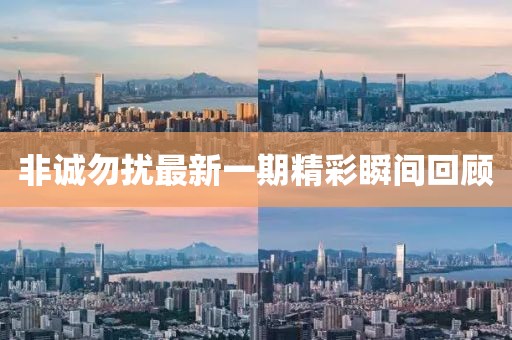 非誠(chéng)勿擾最新一期精彩瞬間回顧