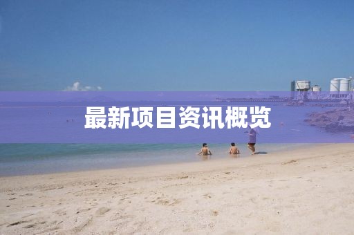 最新項目資訊概覽