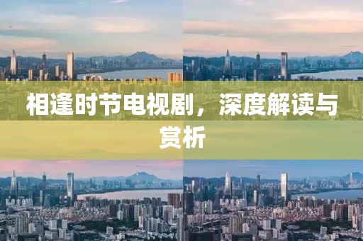 相逢時節(jié)電視劇，深度解讀與賞析