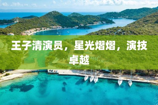 王子清演員，星光熠熠，演技卓越