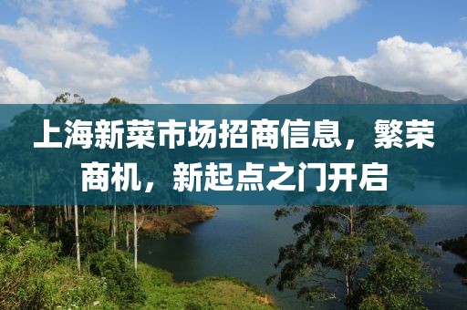 上海新菜市場招商信息，繁榮商機(jī)，新起點(diǎn)之門開啟