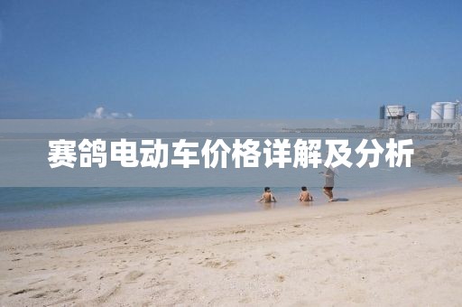 賽鴿電動車價格詳解及分析