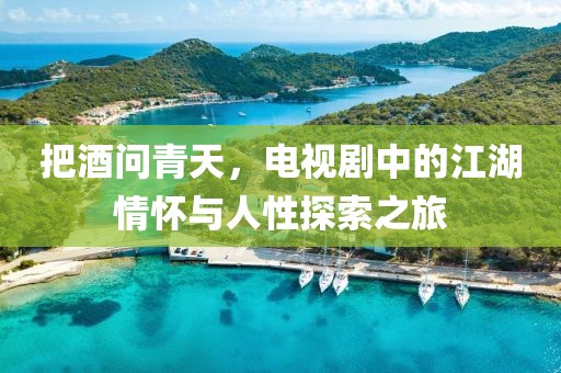 把酒問青天，電視劇中的江湖情懷與人性探索之旅