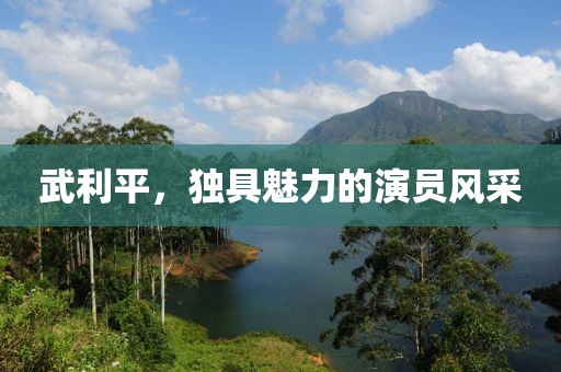 武利平，獨(dú)具魅力的演員風(fēng)采