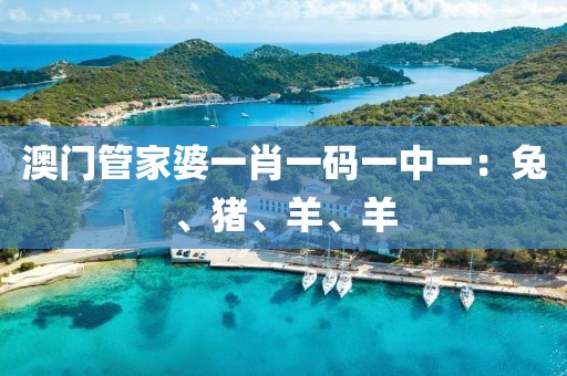 澳門(mén)管家婆一肖一碼一中一：兔、豬、羊、羊