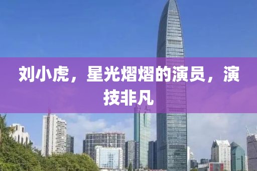 劉小虎，星光熠熠的演員，演技非凡