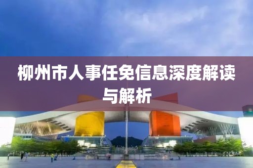 柳州市人事任免信息深度解讀與解析