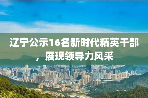 遼寧公示16名新時(shí)代精英干部，展現(xiàn)領(lǐng)導(dǎo)力風(fēng)采