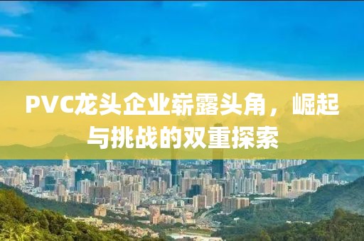 PVC龍頭企業(yè)嶄露頭角，崛起與挑戰(zhàn)的雙重探索