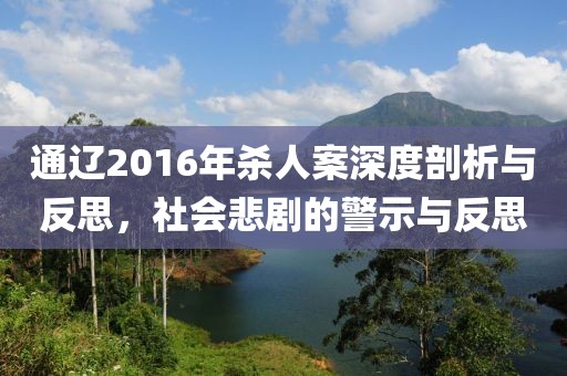 通遼2016年殺人案深度剖析與反思，社會(huì)悲劇的警示與反思