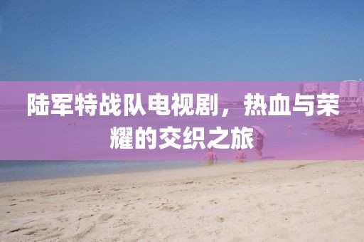 陸軍特戰(zhàn)隊(duì)電視劇，熱血與榮耀的交織之旅