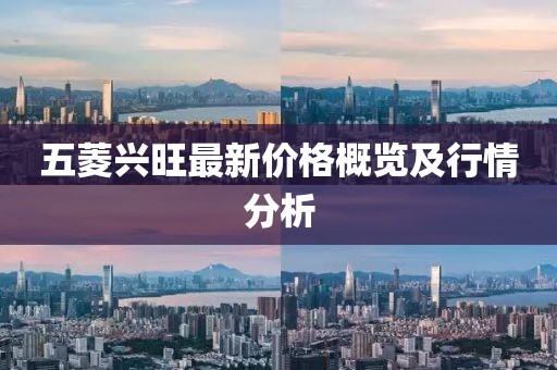 五菱興旺最新價(jià)格概覽及行情分析