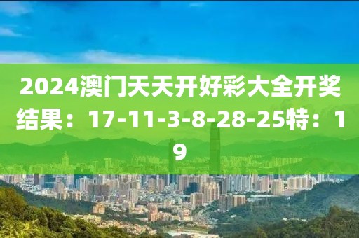 2024澳門天天開好彩大全開獎結(jié)果：17-11-3-8-28-25特：19