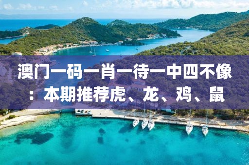 澳門(mén)一碼一肖一待一中四不像：本期推薦虎、龍、雞、鼠