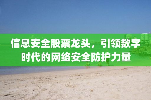 信息安全股票龍頭，引領(lǐng)數(shù)字時(shí)代的網(wǎng)絡(luò)安全防護(hù)力量