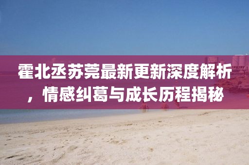 霍北丞蘇莞最新更新深度解析，情感糾葛與成長(zhǎng)歷程揭秘