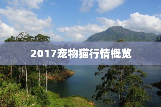 2017寵物貓行情概覽