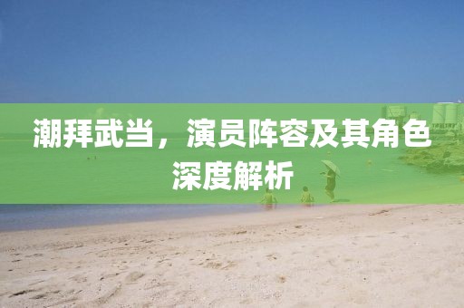 潮拜武當(dāng)，演員陣容及其角色深度解析