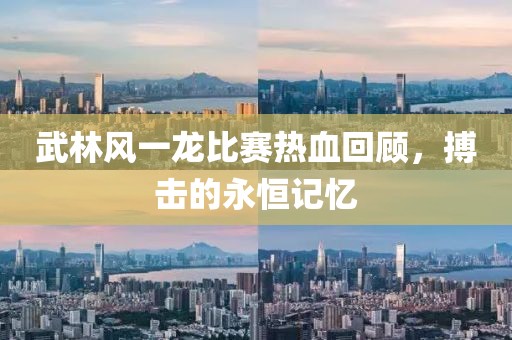 武林風(fēng)一龍比賽熱血回顧，搏擊的永恒記憶